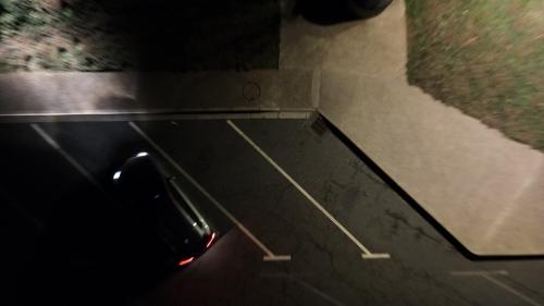 Proxiel [13-01-2022](0370).jpg